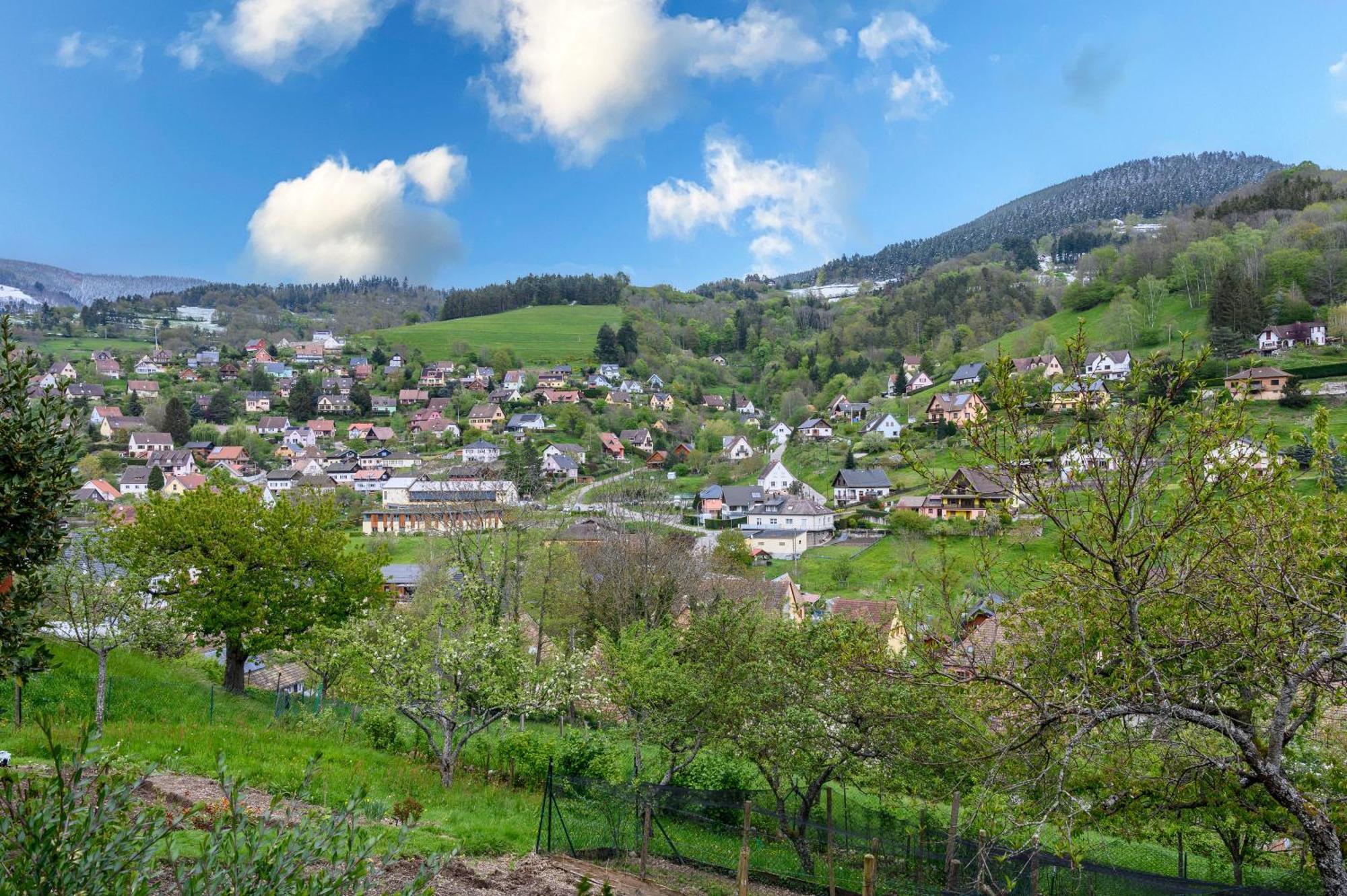 Gite En Montagne Vosges Alsaciennes Fréland Extérieur photo